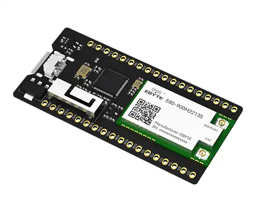 A picture of the Ebyte EoRa-HUB-900TB Module Test Kit board